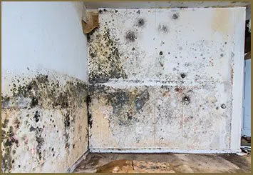 Greenacres Restoration Company Greenacres, FL 561-331-4369 - city-wdr-28