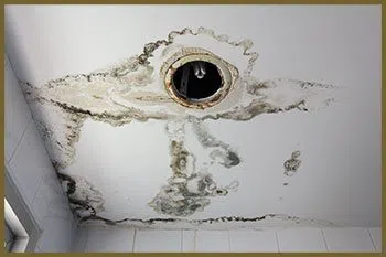 Greenacres Restoration Company Greenacres, FL 561-331-4369